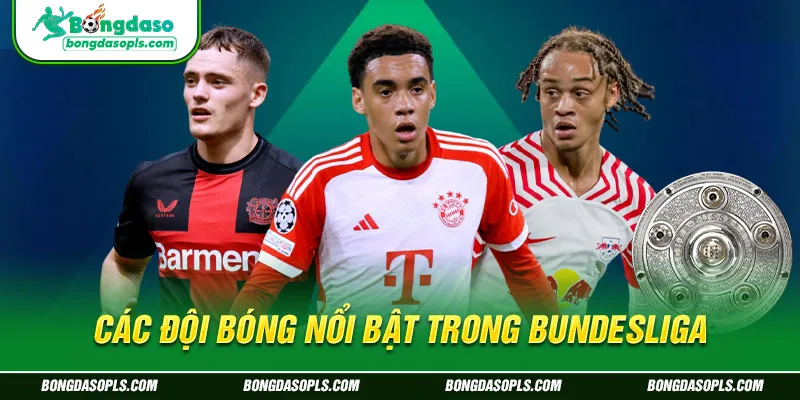Các đội bóng nổi bật trong Bundesliga