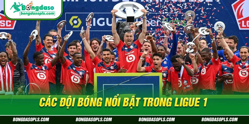 Các đội bóng nổi bật trong Ligue 1