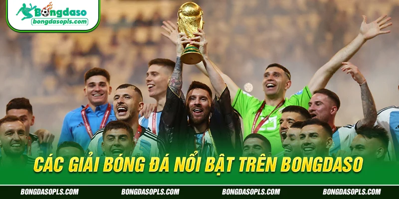 Các giải bóng đá nổi bật trên Bongdaso