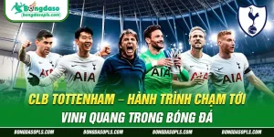 CLB Tottenham - Hành Trình Chạm Tới Vinh Quang Trong Bóng Đá