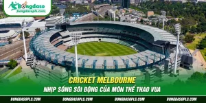 Cricket Melbourne Nhịp sống sôi động của môn thể thao vua