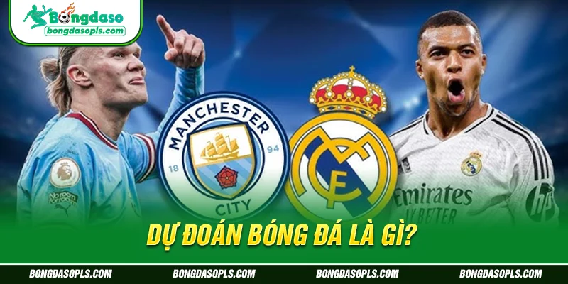 Tìm hiểu khái niệm dự đoán bóng đá là gì?