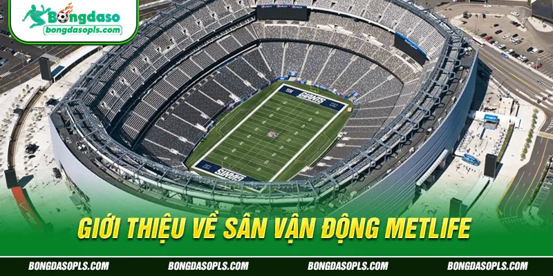 Giới Thiệu Về Sân Vận Động MetLife