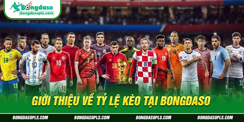 Giới thiệu về tỷ lệ kèo tại Bongdaso