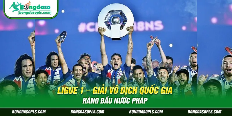 Ligue 1 – Giải Vô Địch Quốc Gia Hàng Đầu Nước Pháp