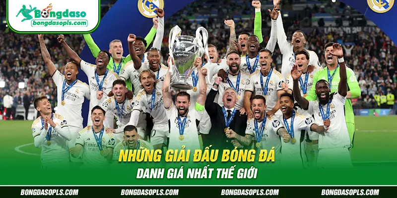 Những giải đấu bóng đá danh giá nhất thế giới