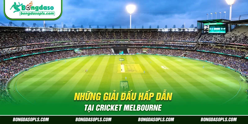 Những giải đấu hấp dẫn tại Cricket Melbourne.