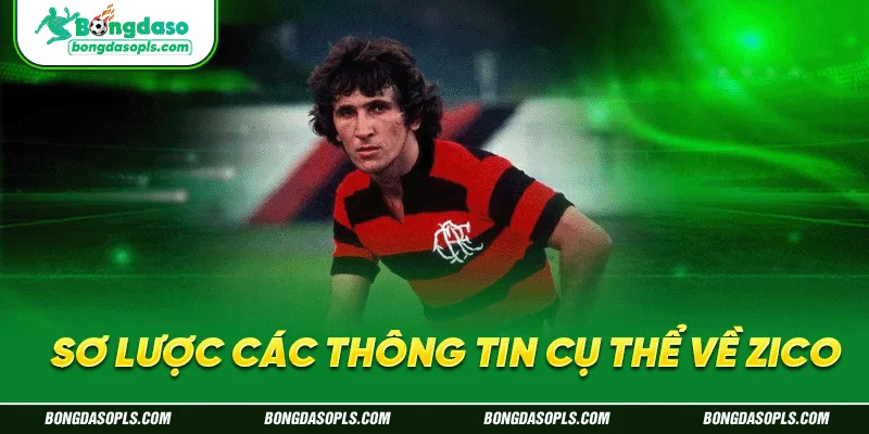 Sơ lược các thông tin cụ thể về Zico