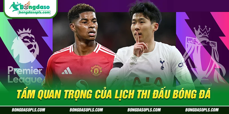 Tầm Quan Trọng Của Lịch Thi Đấu Bóng Đá