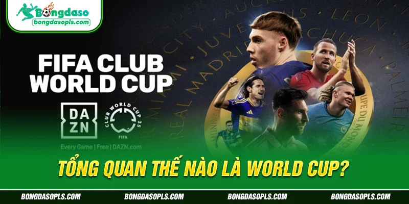 Tổng quan thế nào là World Cup?