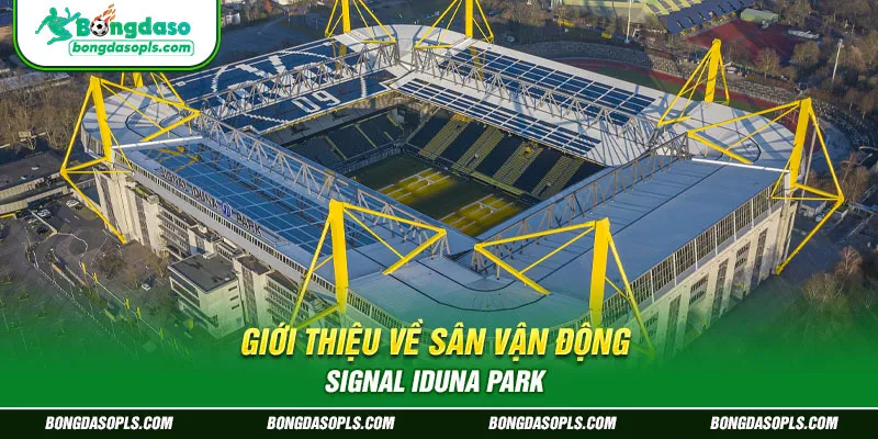Giới Thiệu Về Sân Vận Động Signal Iduna Park