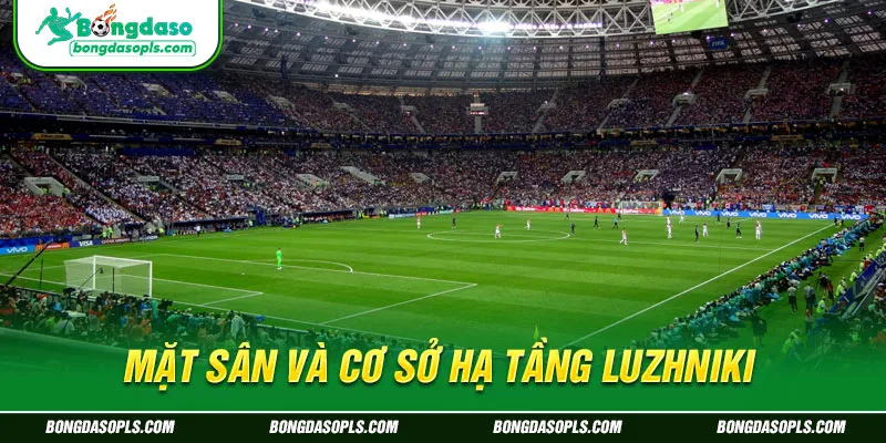 Mặt Sân Và Cơ Sở Hạ Tầng Luzhniki
