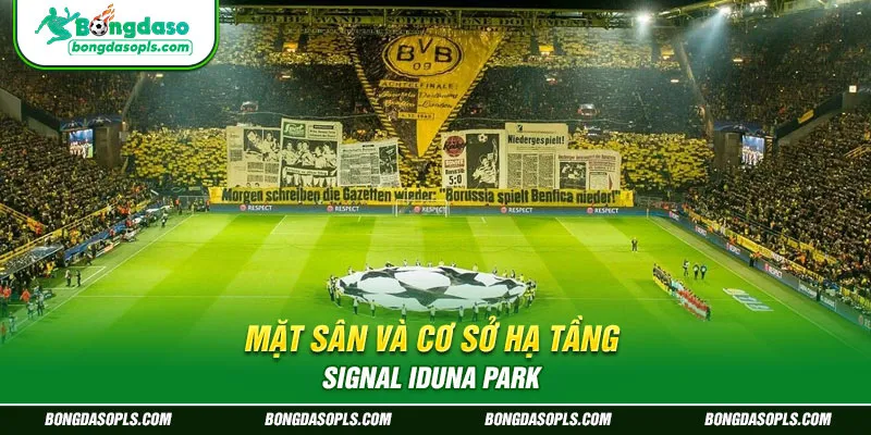 Mặt Sân Và Cơ Sở Hạ Tầng Signal Iduna Park