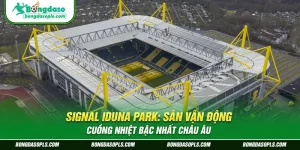 Signal Iduna Park: Sân Vận Động Cuồng Nhiệt Bậc Nhất Châu Âu