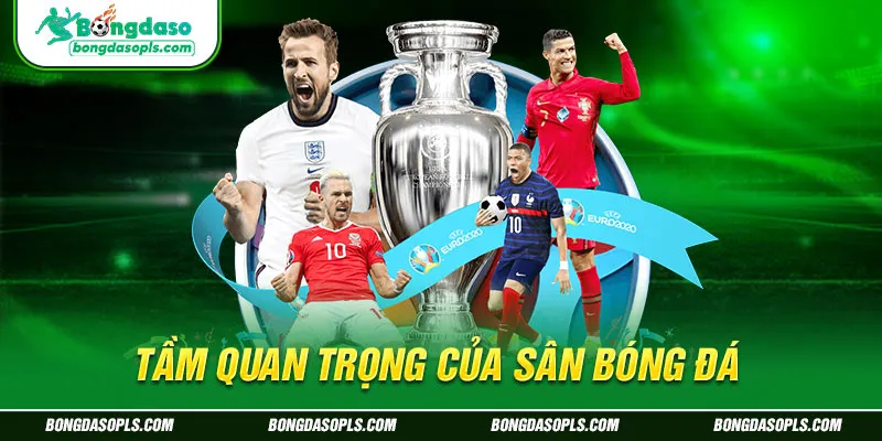 Tầm quan trọng của sân bóng đá